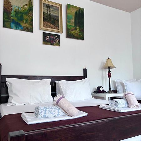 Casa Trandafirilor Hotel Tulcea Eksteriør billede