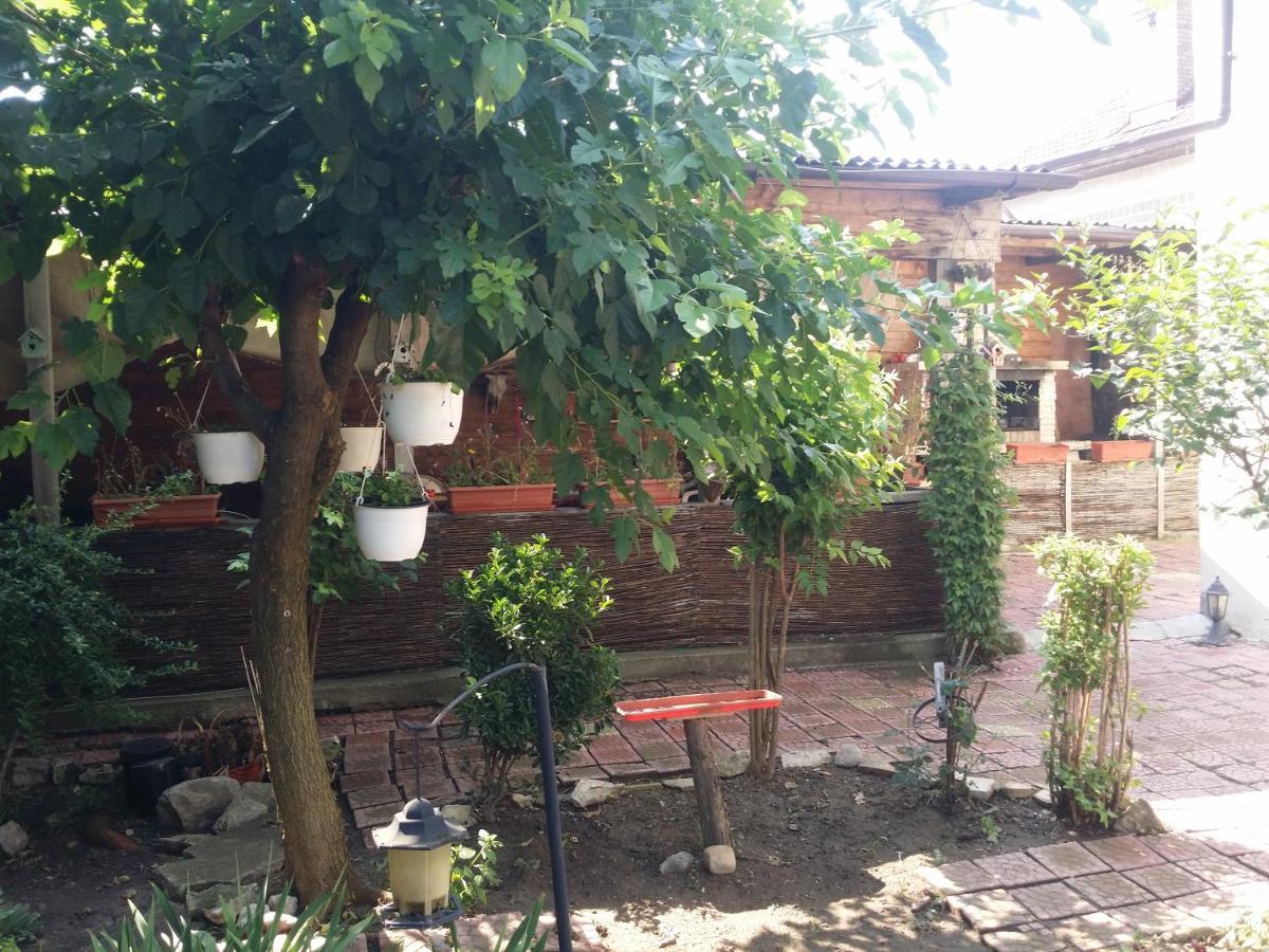 Casa Trandafirilor Hotel Tulcea Eksteriør billede