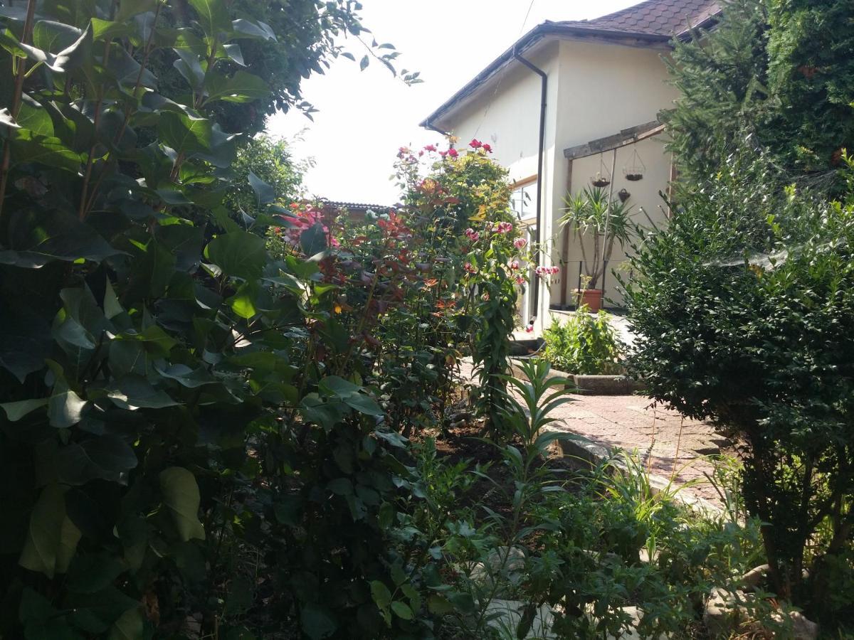 Casa Trandafirilor Hotel Tulcea Eksteriør billede