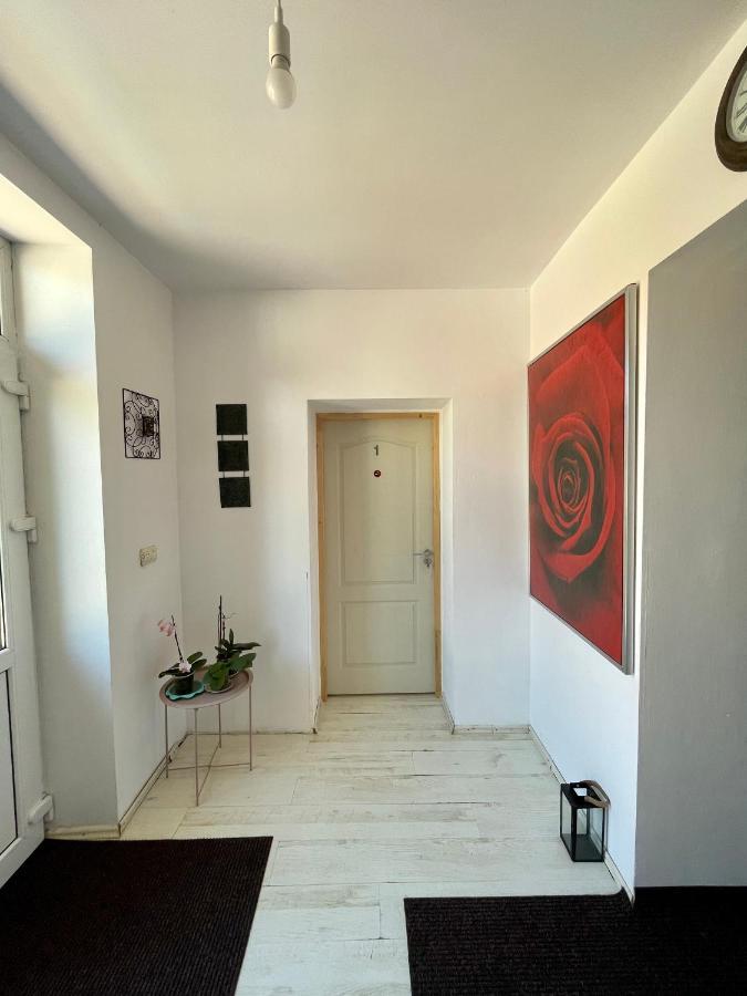 Casa Trandafirilor Hotel Tulcea Eksteriør billede