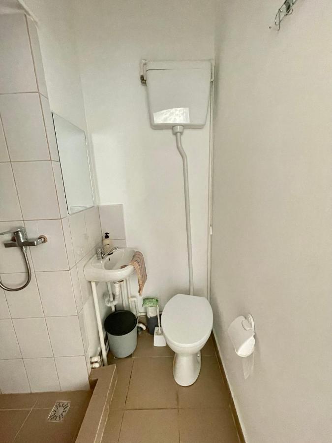 Casa Trandafirilor Hotel Tulcea Eksteriør billede