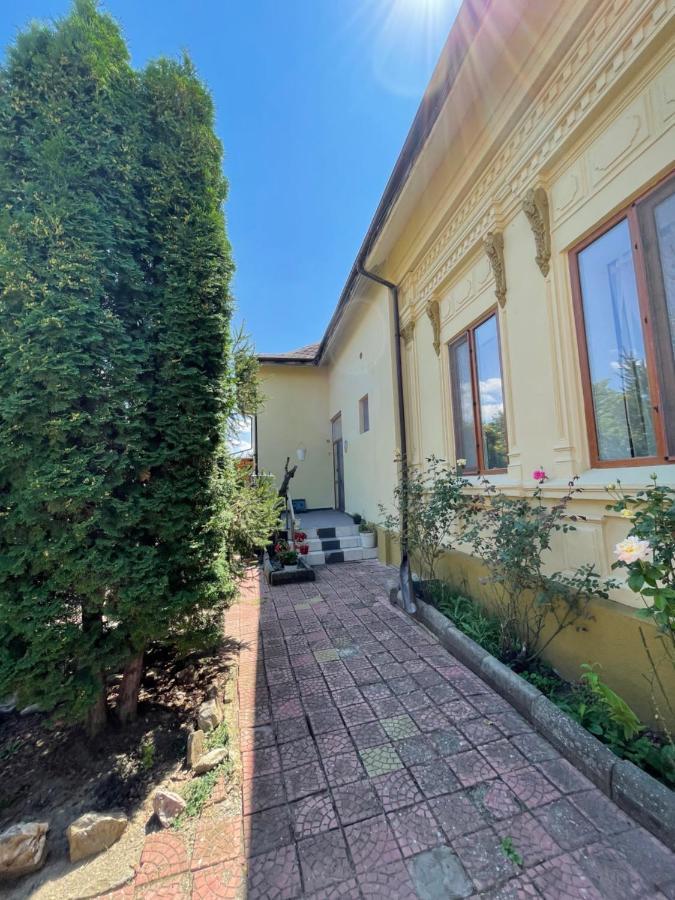 Casa Trandafirilor Hotel Tulcea Eksteriør billede