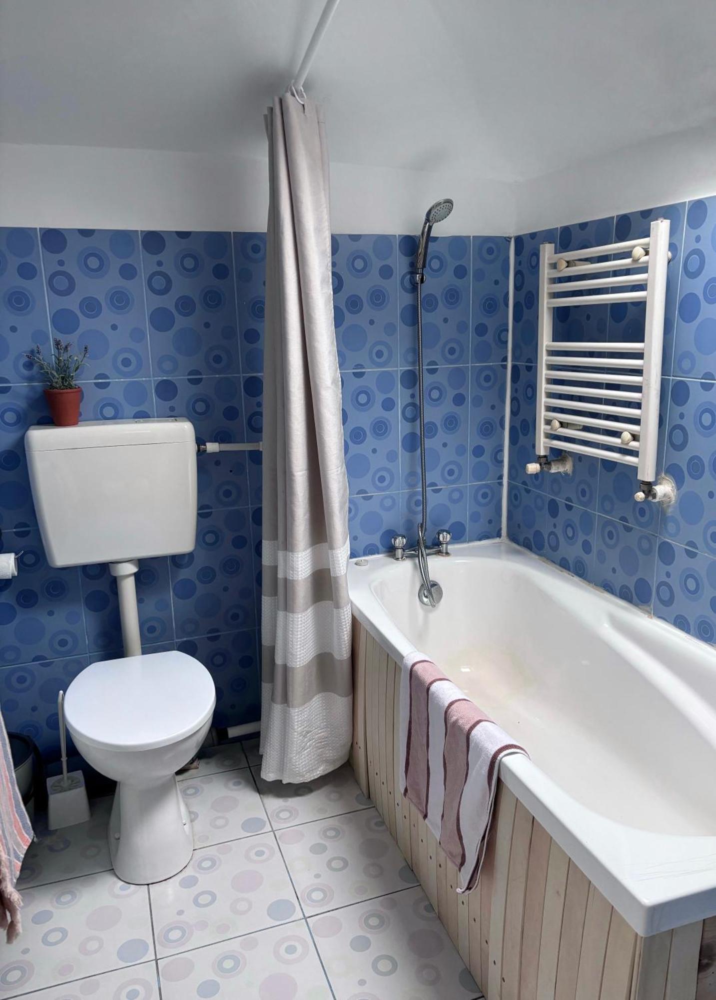Casa Trandafirilor Hotel Tulcea Eksteriør billede