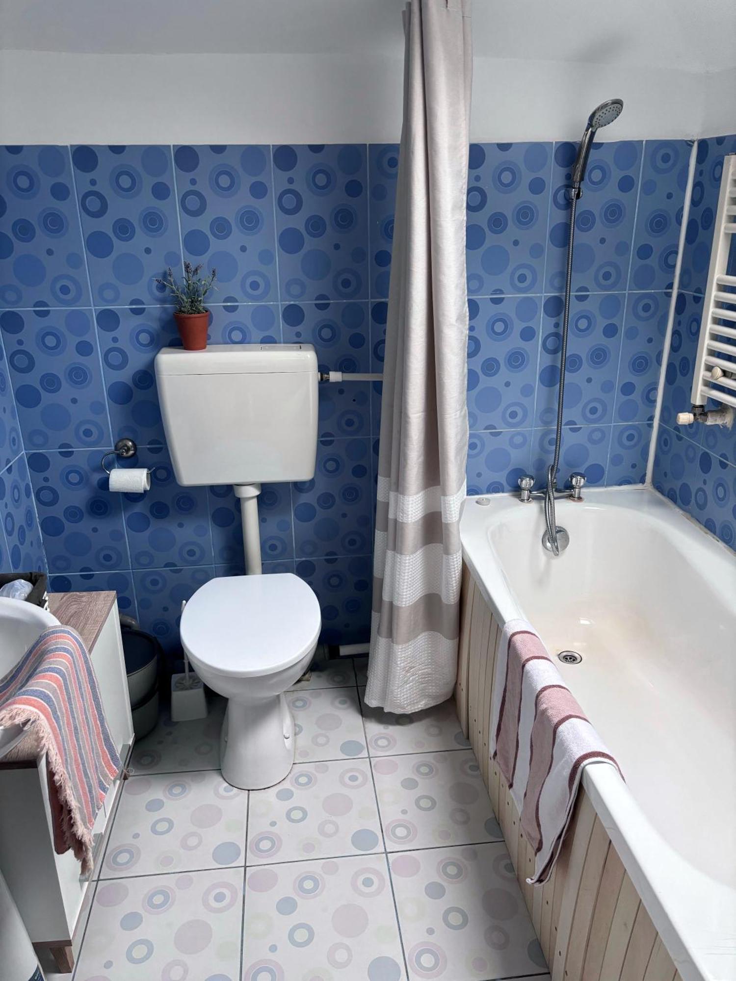 Casa Trandafirilor Hotel Tulcea Eksteriør billede