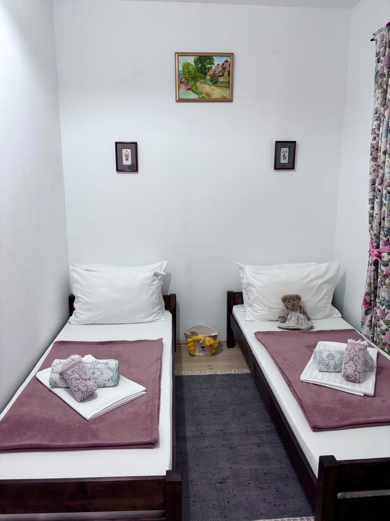 Casa Trandafirilor Hotel Tulcea Eksteriør billede